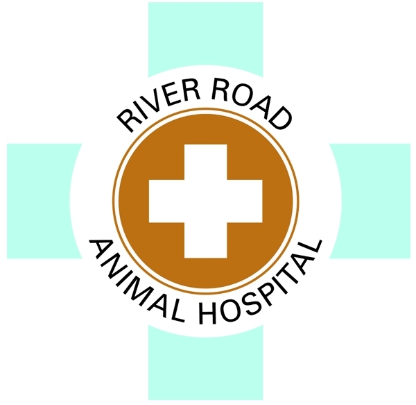 River Road Animal Hospital