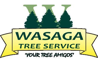 Wasaga Tree Service